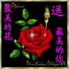 ，袁龙英，，，的头像