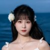 小紅帽的头像