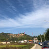懿心的头像
