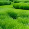 闲庭月下【暂离】的头像