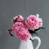 你是我一生的心愿的头像