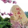 醉美人生的头像