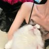  的头像