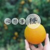 橙子妹妹的头像