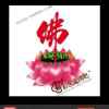 心莲（路园长）的头像