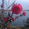 花好月圆的头像