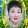 朵儿(渐退)的头像