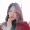 婷子的头像
