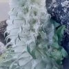 今生缘拒私信！的头像