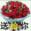 心愿的头像