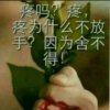 永不放弃的头像