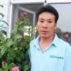 东北哥的头像