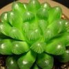 LiLi的头像