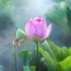 happy＿惜缘的头像