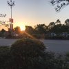 文先红红火火的头像