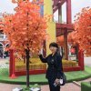 老康的头像