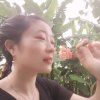 山水 之音的头像