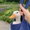 伊ᝰ妖儿（退一年半）的头像