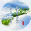 微风细雨的头像