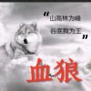 血狼！随心所欲？的头像