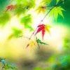 永不言弃的头像
