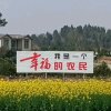 老渔翁的头像