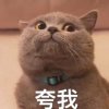 木木 ⒐ 。的头像