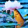 泉涓涓而始流的头像