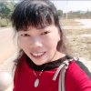 CC1叶子的头像