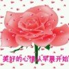 梦想的头像