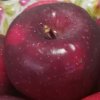 红苹果的头像