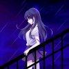 Crazy君子兰的头像