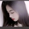 天使的阳光的头像