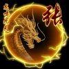 微龙腾达的头像