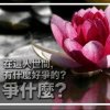 小芳的头像