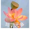 河影，的头像