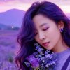 XIAO影的头像