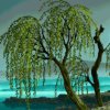 东方海！小号的头像
