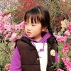 兰兰暂离的头像