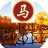 石三、因忙、只送花、少点评、望友谅解！的头像