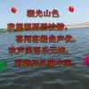 难忘南北的头像