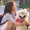 兔子的头像