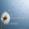 无痕的头像