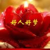 鑫韵 流年的头像