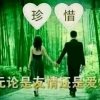护家使者的头像