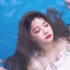 鱼鱼子的头像