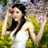 依衣人的头像