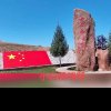小白杨的头像