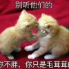 独来独往的头像