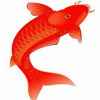 鱼儿的头像